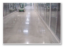 BJ's Wholesale Store, Quakertown, PA