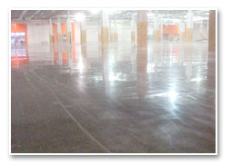 Home Depot, Bronx, NY